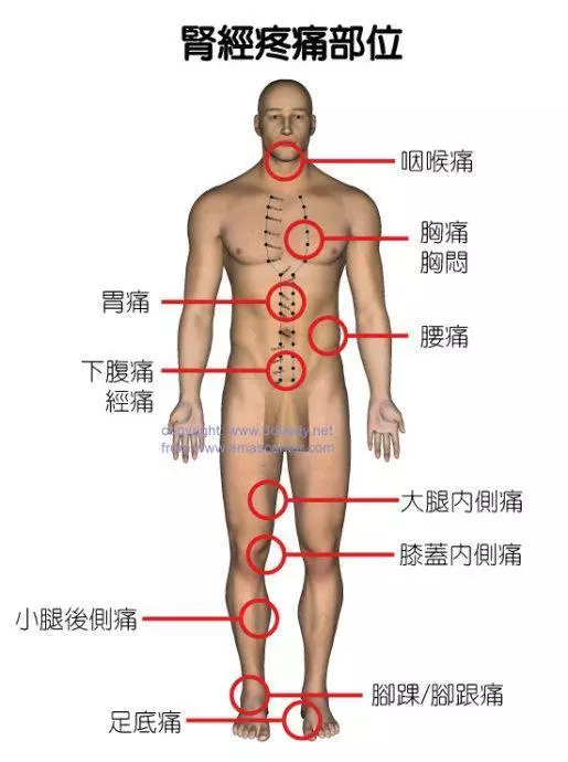 經絡通不通,就看這7個字!中醫只用一招:經絡通暢百病消!