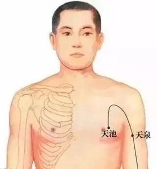 天池穴:女性的抗癌穴、長壽穴、快樂穴!