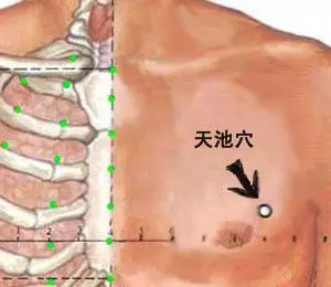 天池穴:女性的抗癌穴、長壽穴、快樂穴!