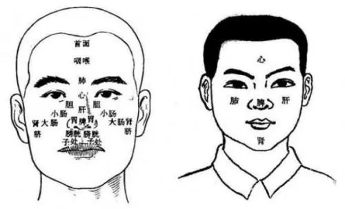 人體最佳排毒方法——心、肝、脾、肺、腎五臟之毒的症狀及排毒法