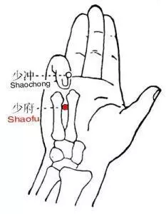 人體最佳排毒方法——心、肝、脾、肺、腎五臟之毒的症狀及排毒法