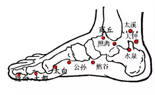 人體最佳排毒方法——心、肝、脾、肺、腎五臟之毒的症狀及排毒法