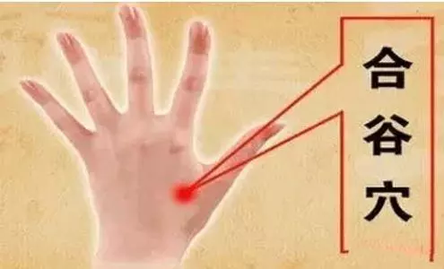 人體最佳排毒方法——心、肝、脾、肺、腎五臟之毒的症狀及排毒法