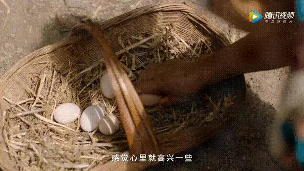 每一個故事都發人深思,不要忽視個人渺小的力量