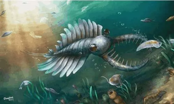 地球上曾發生一件懸案, 寒武紀時期, 為何會出現那麼多的生物呢?
