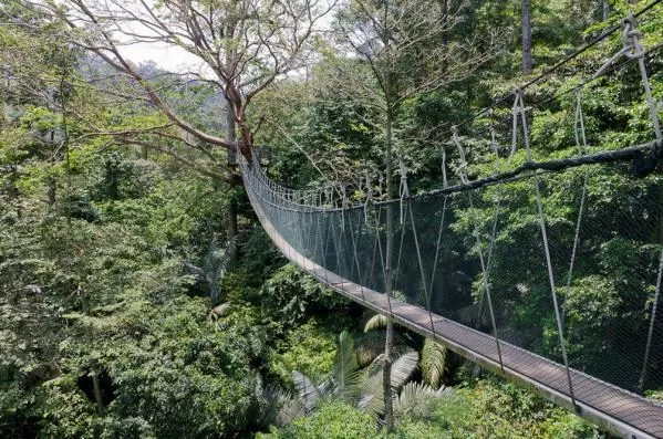 不要羨慕國外!大馬4大自然旅遊景點列入UNESCO《世界遺產名錄》預備名單~