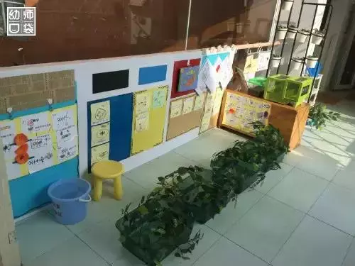 實拍|11所幼兒園360°開學環創圖片來啦!