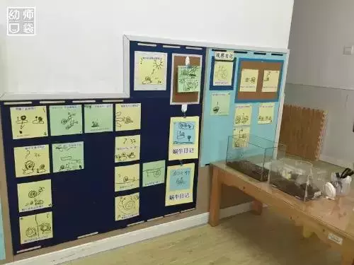 實拍|11所幼兒園360°開學環創圖片來啦!