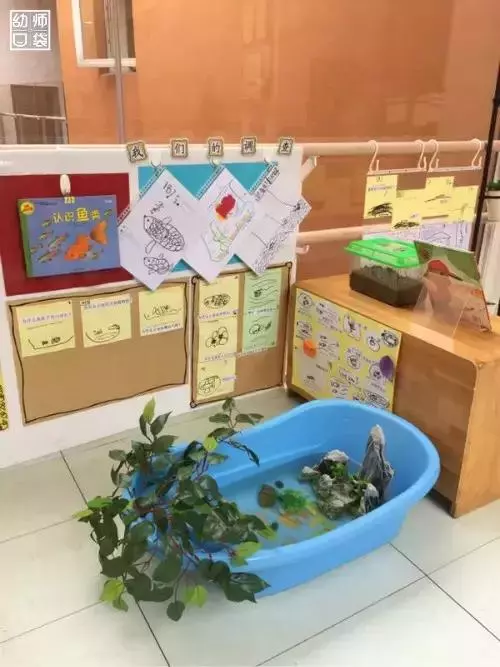 實拍|11所幼兒園360°開學環創圖片來啦!