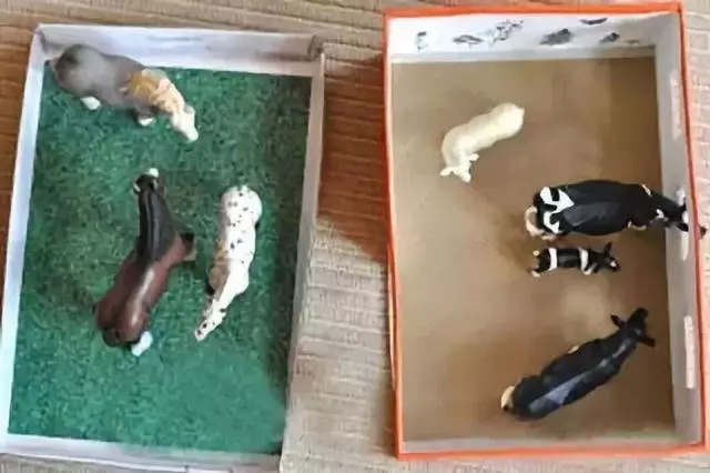 廢鞋盒回收新玩法,高大上裝飾絕對吸睛!