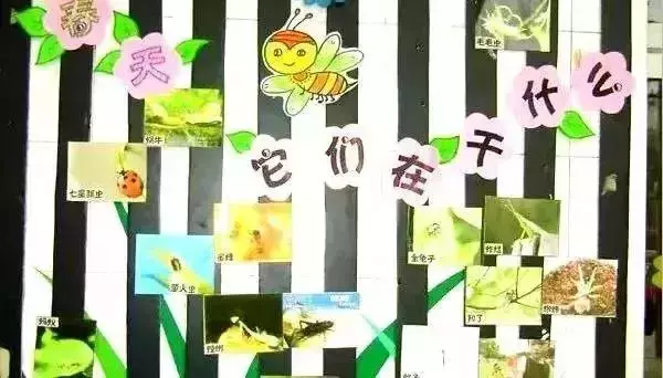 幼兒園主題牆環創,大中小班都有!收藏起來!