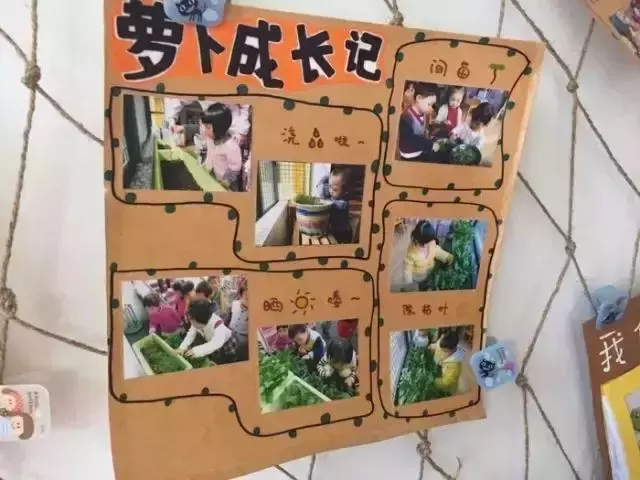 幼兒園區角環創,讓區域遊戲更好玩!