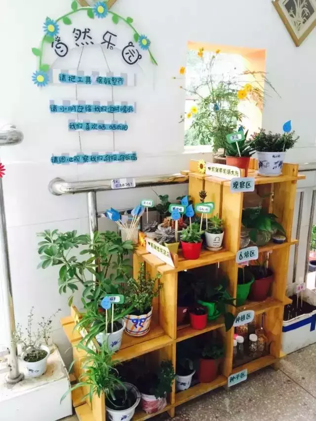 幼兒園區角環創設計,讓區域遊戲更好玩!