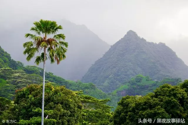 故事:男子深夜遇險被大伯救下,父親卻告訴兒子自己從未有過哥哥