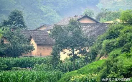 姐姐帶殘疾弟弟出嫁,沒有要一分彩禮,五年後,她覺得自己很幸福