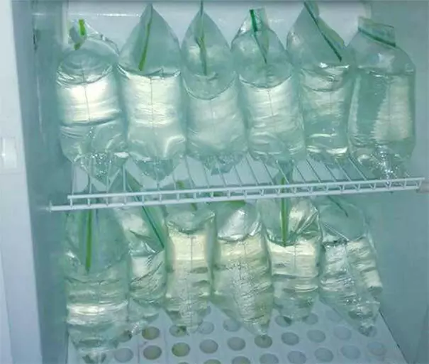 25個「耍廢耍到讓大家笑到噴飯」的超白癡生活技巧!