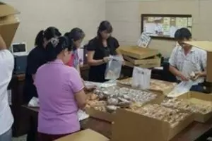 一家四口共騎摩哆趕看戰機,與羅釐碰撞幼兒亡!
