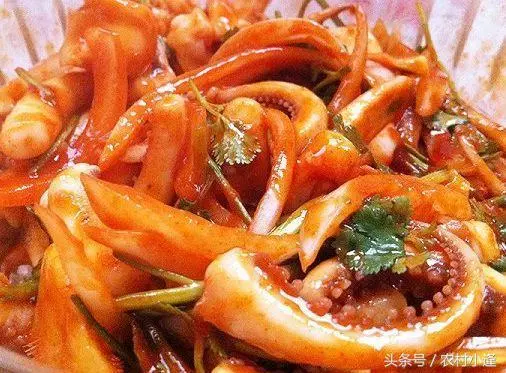 20道好吃的私房菜,做法秘訣全在這裡了,營養又美味,太過癮了