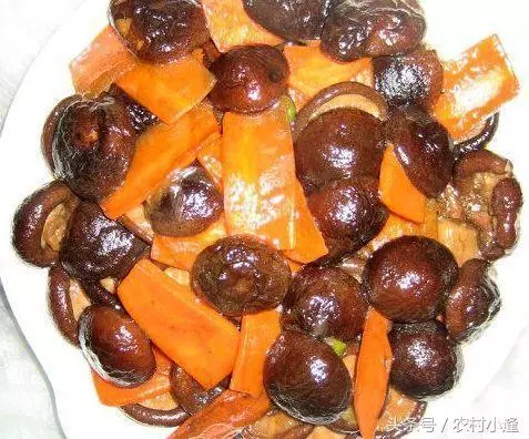 20道好吃的私房菜,做法秘訣全在這裡了,營養又美味,太過癮了