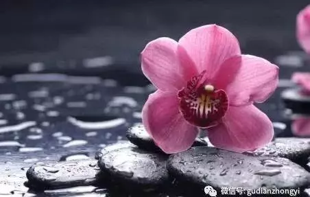 梁冬:最靠譜的養生,就是做一個天真的人!