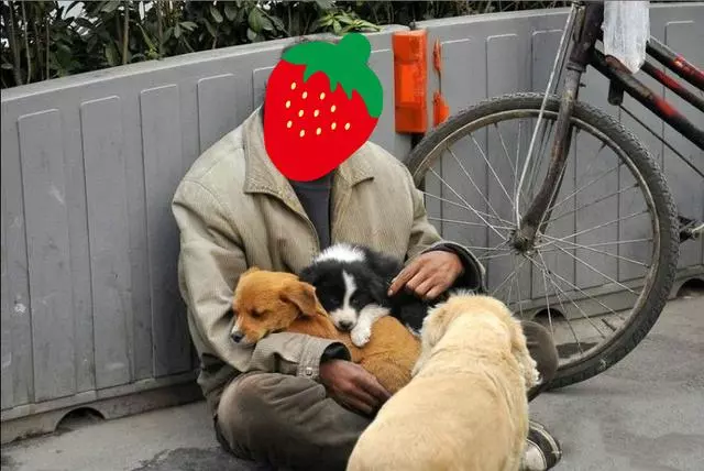 白天好心給了乞丐一碗飯,結果晚上乞丐養的土狗卻幫我掙了上萬塊
