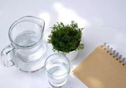 秋養肺,記住六個養肺小知識