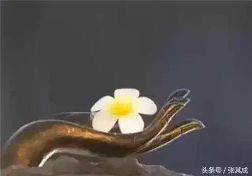 每天堅持這三件事,你的運氣會越來越好!