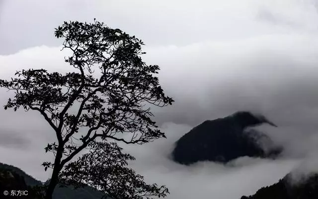 善惡一念間,果報總不同
