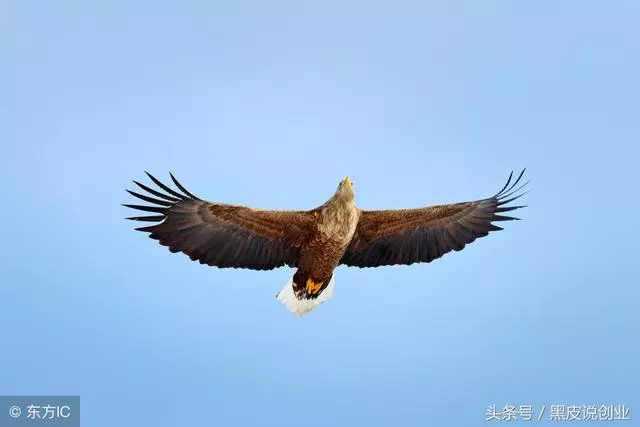 你要主動學,什麼都能學會!