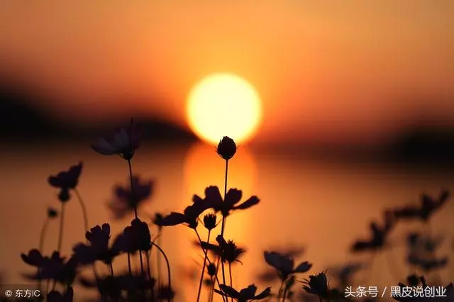 你要主動學,什麼都能學會!
