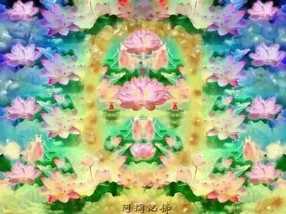 震撼!原來這就是極樂世界!太美了!太美了!