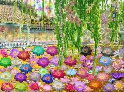 震撼!原來這就是極樂世界!太美了!太美了!