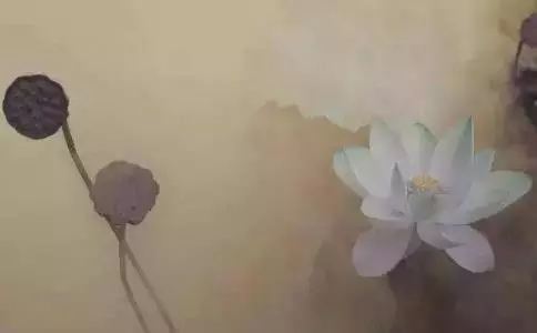 真的有來世、善惡業報等事嗎?