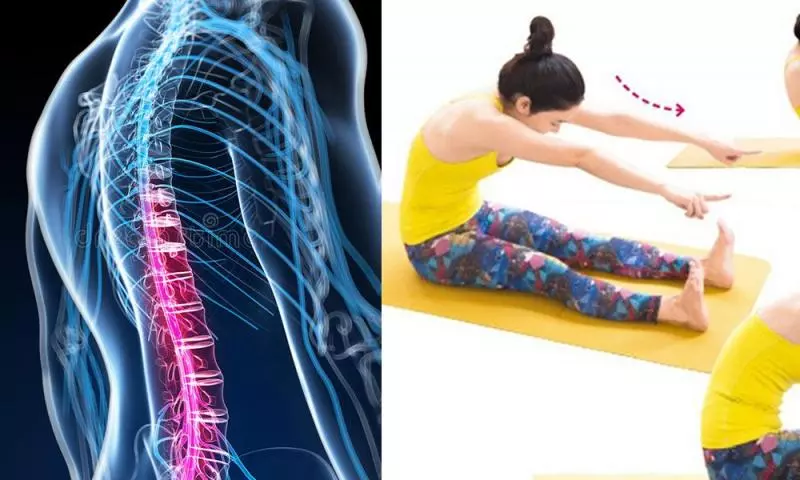 拉筋操5招 一星期瘦腰修腹兼矯正寒背