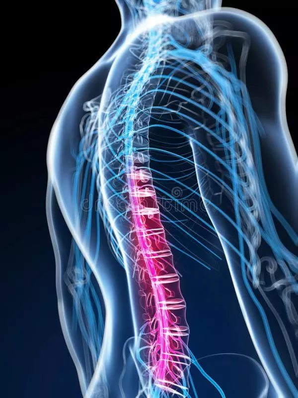 拉筋操5招 一星期瘦腰修腹兼矯正寒背