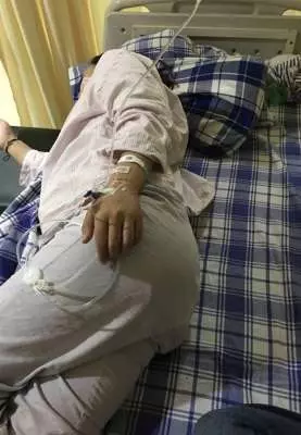 惡網紅護狗踹孕婦 詛咒「趕緊去死」