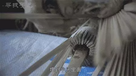 美女博主一條微博刷爆網絡:我們還能擁有他們多少年……