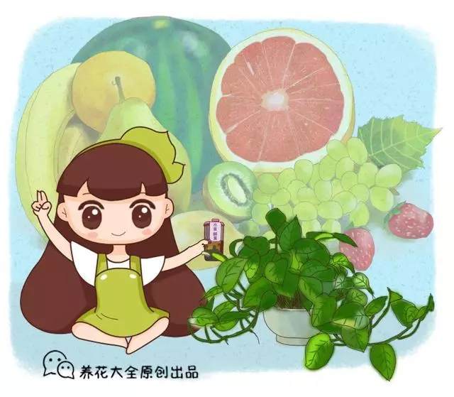 秋天一來,吃這6種水果,氣色好到能發光