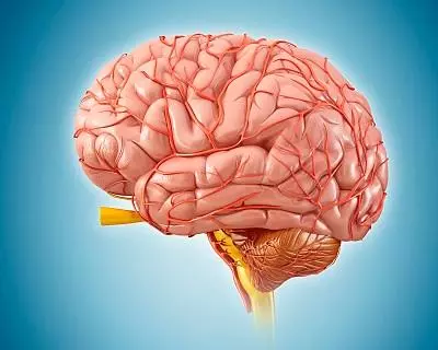 戒不了熬夜的人,若能記住三句「順口溜」,你的身體也許還有救!