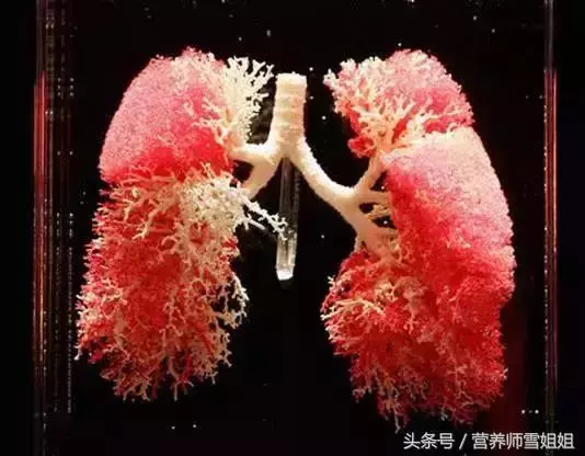 吸菸者,戒菸後,熬過「4個時期」,身體會有很好的變化!