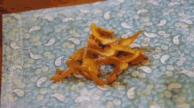 秋天不吃這個水果太虧了,1個等於5味藥,功效驚人