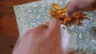 秋天不吃這個水果太虧了,1個等於5味藥,功效驚人