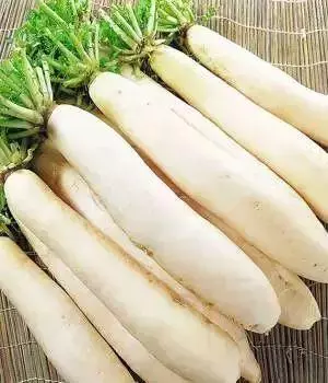 這20種「純天然藥」安眠、降脂、降糖……太神奇!
