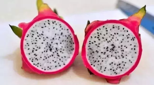 這20種「純天然藥」安眠、降脂、降糖……太神奇!