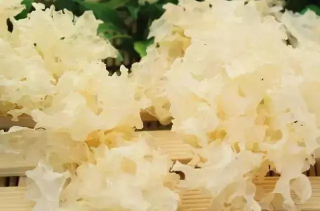 這20種「純天然藥」安眠、降脂、降糖……太神奇!