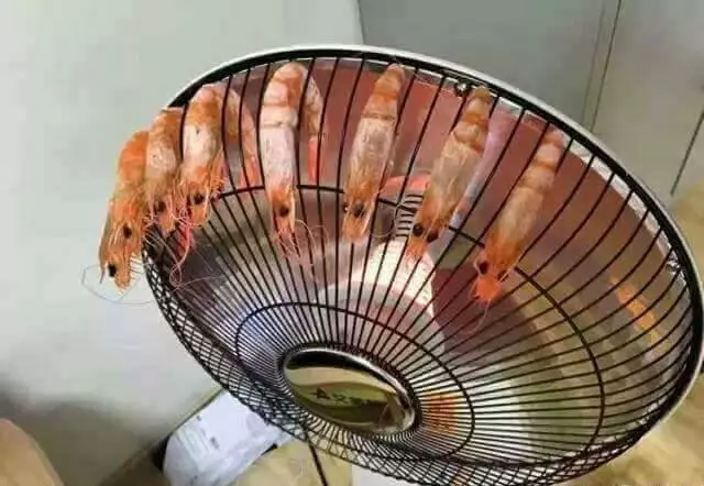 晚上怕冷,又想吃宵夜怎麼辦?網友自創「天冷烤蝦法」,讓網友們笑翻了:「這是哪一招啊?」