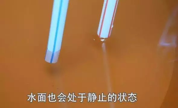 空寶特瓶不要仍!插上2跟吸管「省錢又實用」 超猛用途鄰居看了紛紛效仿 -