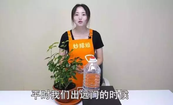 空寶特瓶不要仍!插上2跟吸管「省錢又實用」 超猛用途鄰居看了紛紛效仿 -