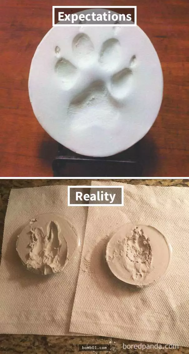 30個害大家笑到長腹肌的「理想VS現實」DIY作品!
