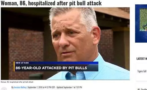 又是比特犬!86歲奶奶遭狠咬重傷